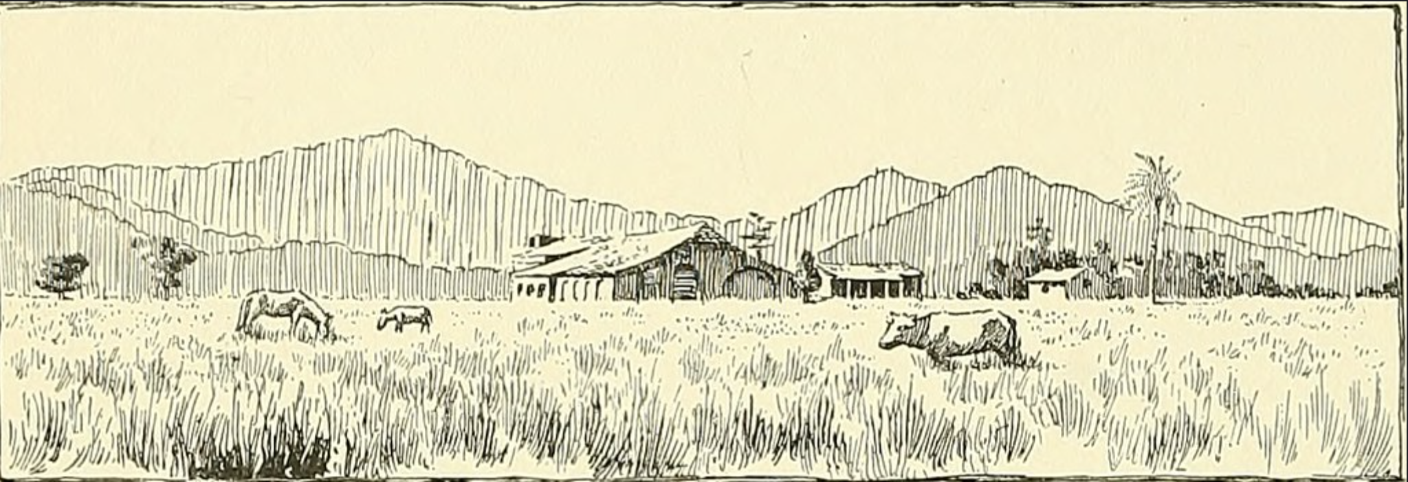 a nice drawing of a ranch with mountains in the background